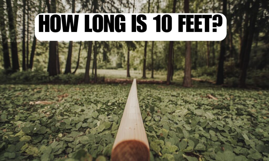 12 Common Things That Are 10 Feet Long How Long is 10 Feet