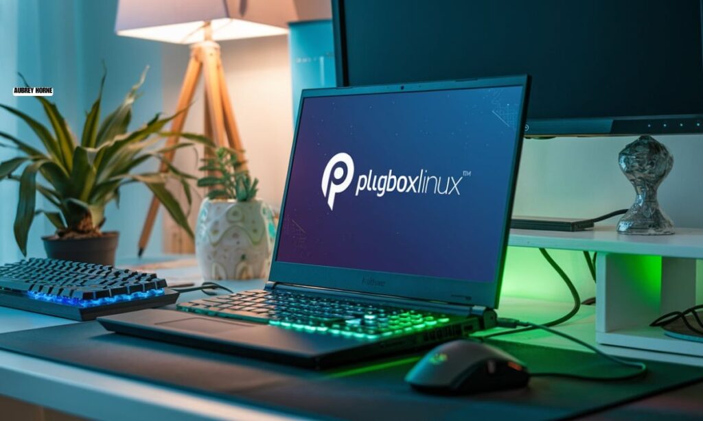 Unleashing the True Potential of Plugboxlinux Gaming Platform: A Comprehensive Guide Unleashing the True Potential of Plugboxlinux Gaming Platform